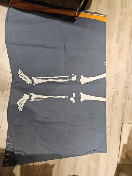 Photo of free Blue skeleton duvet cover and pillowcase (Brimscombe GL5) #2