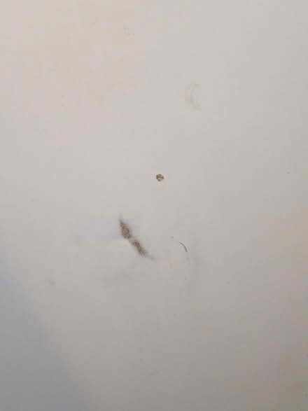 Photo of free IKEA Bekkant Desk Big (CV3 Stoke Aldermoor) #4