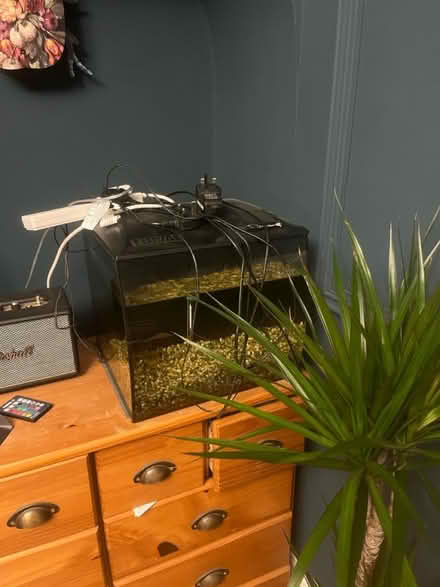 Photo of free Fish tank etc (Eastbourne) #1