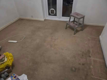 Photo of free Old beige / light brown carpet (Frimley) #1