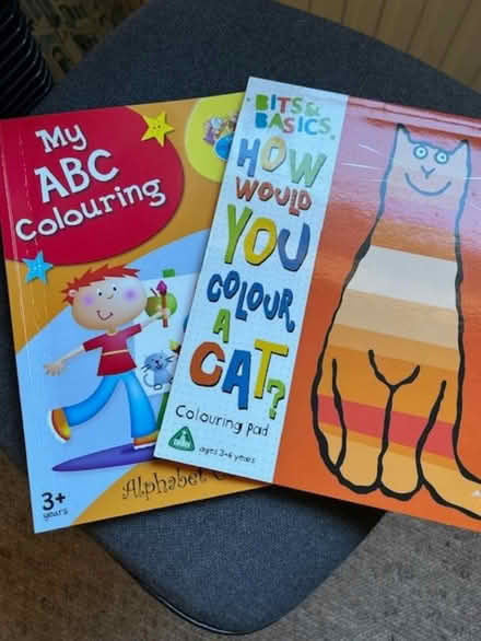 Photo of free Colouring books (Bridge of Allan FK9) #1