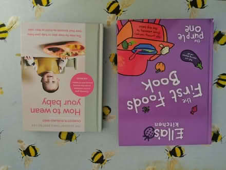 Photo of free Baby Food Books (Kinson Village Green Stocks BH10) #1