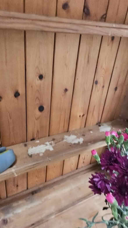 Photo of free Top half of Welsh dresser/shelves (Osney OX2) #3