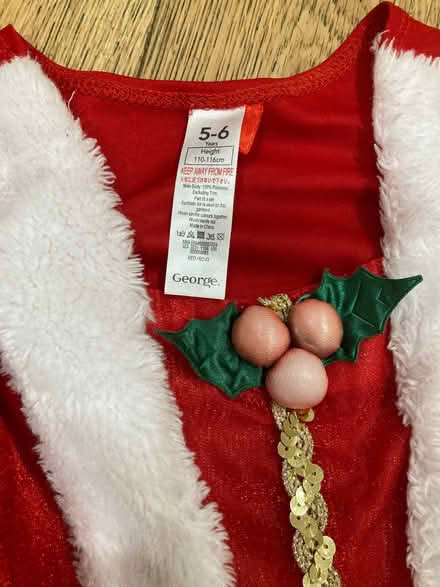 Photo of free Elf & Mrs Claus dresses (Aigburth L19) #3