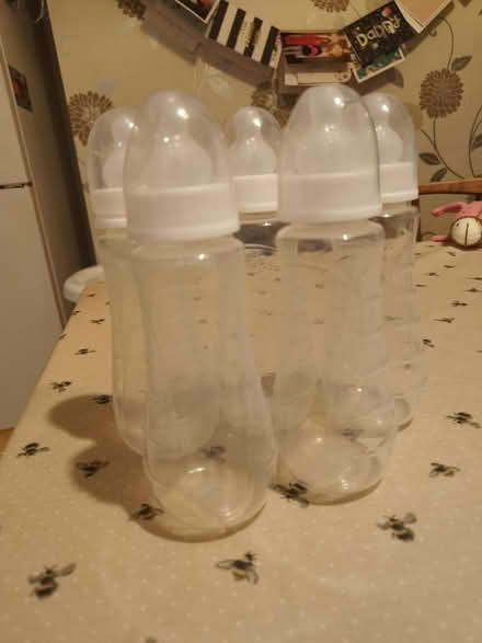 Photo of free Baby bottles x 5 (Bromborough CH62) #1