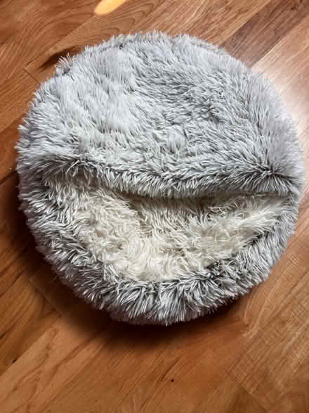 Photo of free Fluffy cat bed (Calderon and Mercy) #1