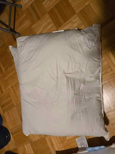 Photo of free feather pillows for crafts etc (Vanier north) #1