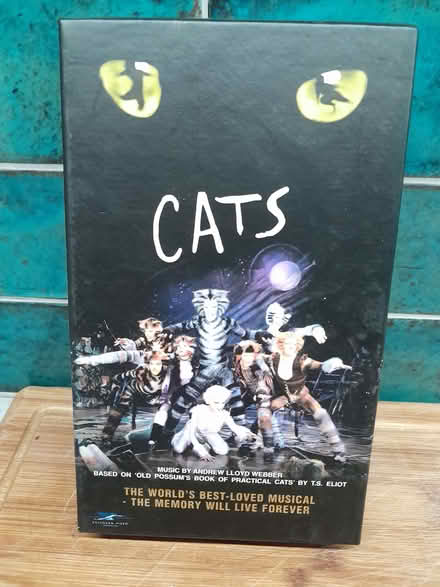 Photo of free Cats video (Warden Hill GL51) #1