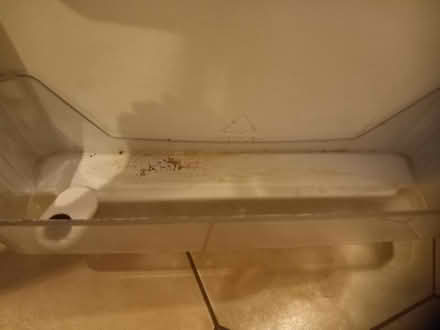 Photo of free Whirlpool fridge with icebox (Boldmere B73) #2