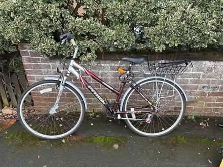 Photo of free 2 x bikes (Lancing) #1