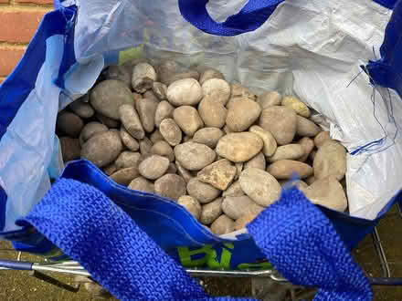 Photo of free Decorative stones (Cheshunt EN7) #1