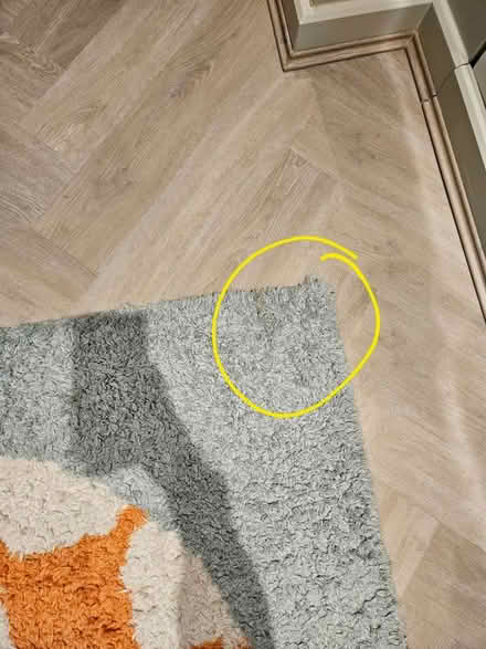 Photo of free John Lewis kids rug (SE15) #2