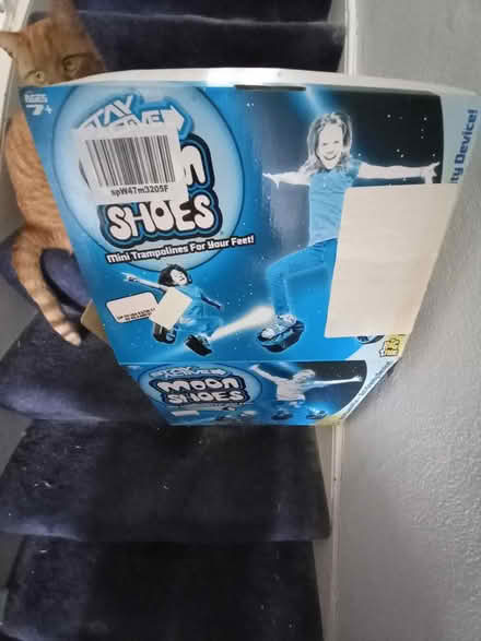 Photo of free Moon Shoes (Roundhill area brighton) #3