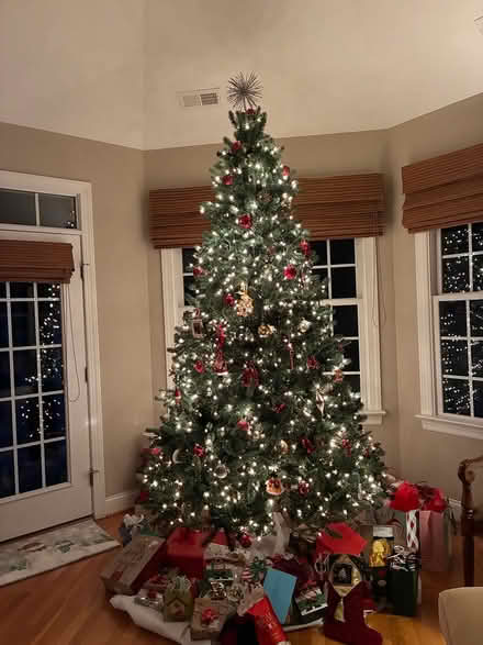 Photo of free 9’ Christmas Tree (Maple Grove) #1