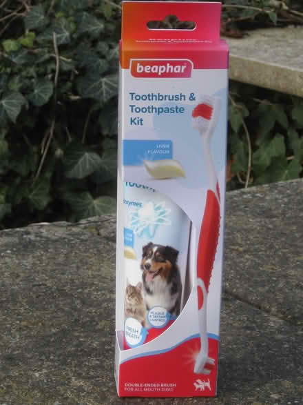 Photo of free Toothbush and toothpaste set (Springfield, Chelmsford, CM1) #1
