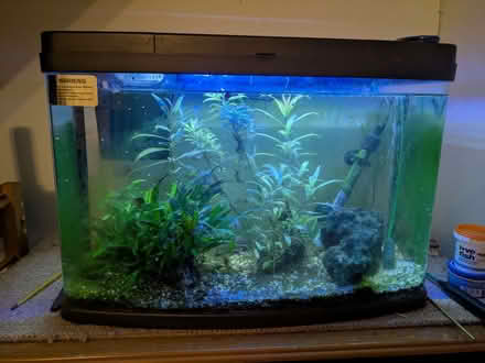 Photo of free Fish tank (IP5) #1