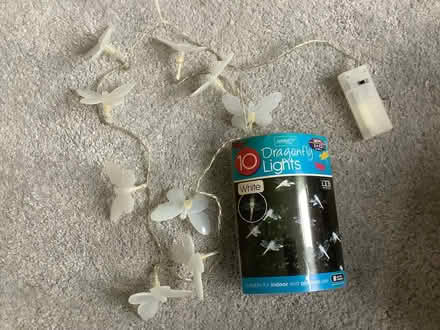 Photo of free Dragonfly and butterfly cable lights (Childwall L16) #1
