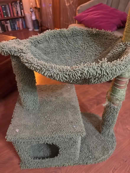 Photo of free Cactus Cat Tower (Olney, MD) #2