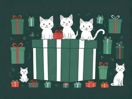 Photo of gifts for a cat rescue (Billington BB7) #1