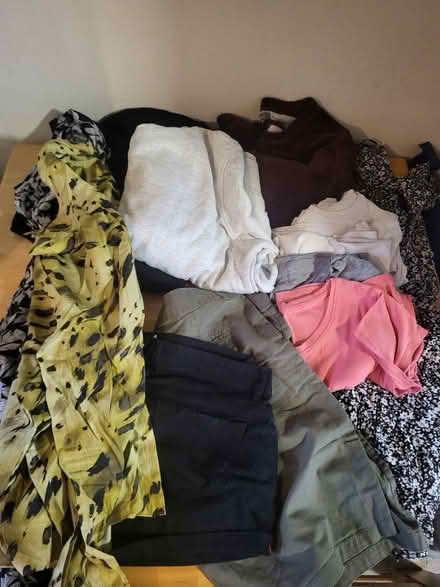 Photo of free Bag of ladies clothes sz 14-16 (Ballyclare BT39) #1