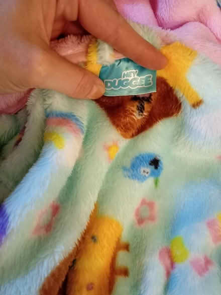 Photo of free Unisex Hey duggie housecout √√√ (Richmond TW9) #2