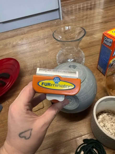 Photo of free Miscellaneous (New England) #3