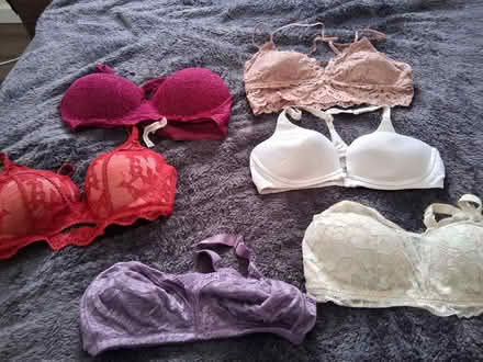 Photo of free 36C no-wire bras (Broomall, Delco) #1