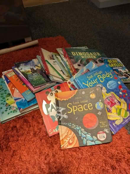 Photo of free Selection of children's books (Crown Wood RG12) #1