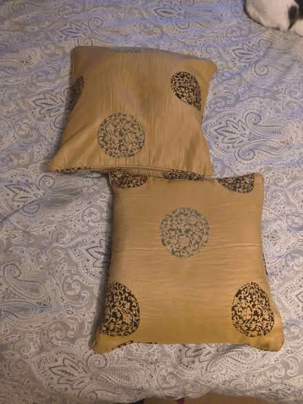 Photo of free Two gold cushions (Barnard's Green WR14) #1