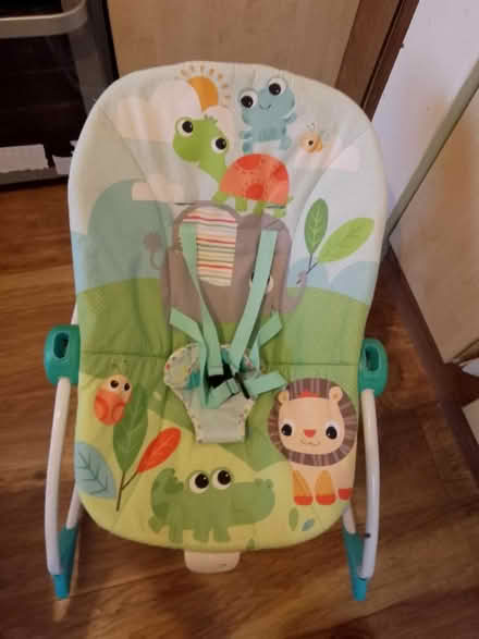Photo of free Bouncy chair (Camborne TR14) #1