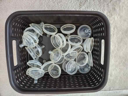 Photo of free Boon baby bottles (Spring Ridge Weis parking lot) #3