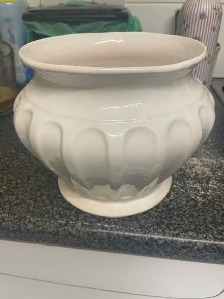 Photo of free Large ceramic indoor plant pot (Southdown) #1