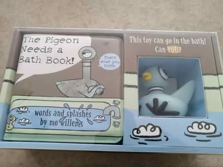 Photo of free Pigeon needs a bath toy (Richmond Hill) #1