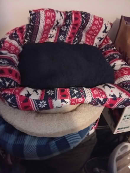 Photo of free Dog beds n blankets (5 mins walk from city centre) #1