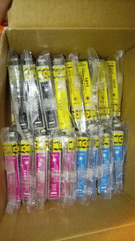 Photo of free Epson 18xx ink cartridges (Roxton MK44) #1
