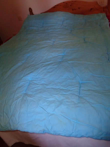 Photo of free Single duvet (TQ12 4QX) #2