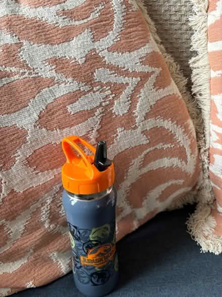 Photo of free Water bottle (Upper Holloway N19) #1
