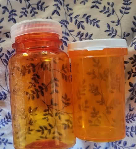Photo of free Clean medicine bottles (7th St and Rose Lane) #1