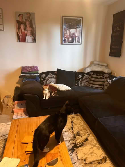 Photo of free Black sofa (Westwood) #1