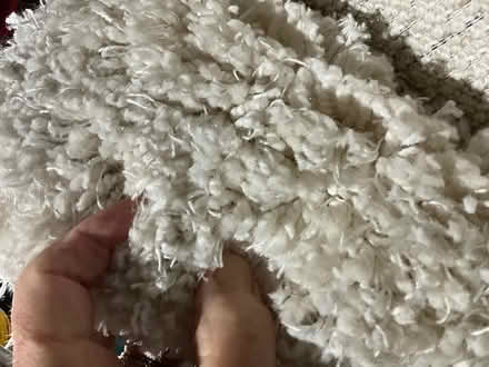 Photo of free Large area rug (Redwood City, Woodside Plaza) #2