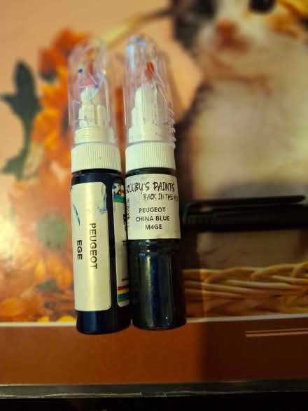 Photo of free paint (Chertsey KT16) #1