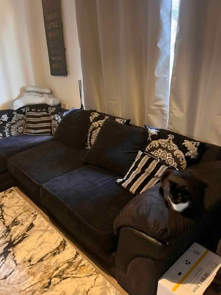 Photo of free Black sofa (Westwood) #2