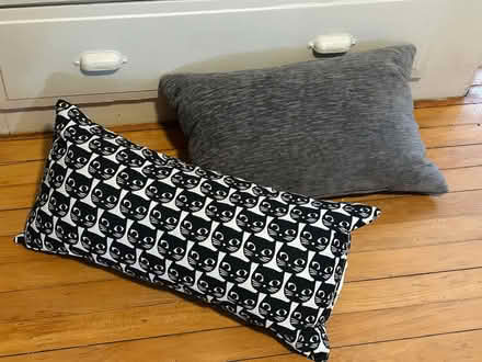 Photo of free Throw pillows (Near Union Square) #1