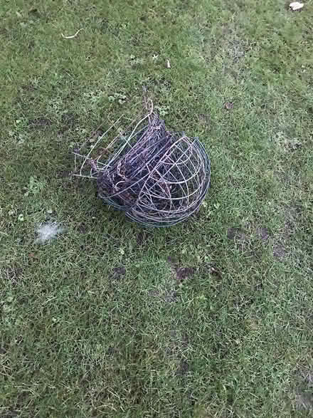 Photo of free Hanging Baskets (S5 Longley) #1