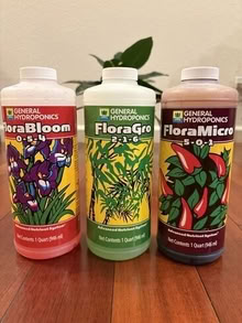 Photo of free Hydroponics solution - FloraGro, FloraBloom, FloraMicro #2