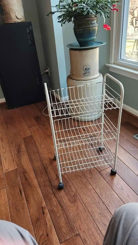 Photo of free Small rolling storage rack (West Springfield) #1