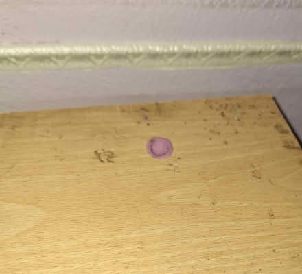 Photo of free CD shelves (PR1) #2