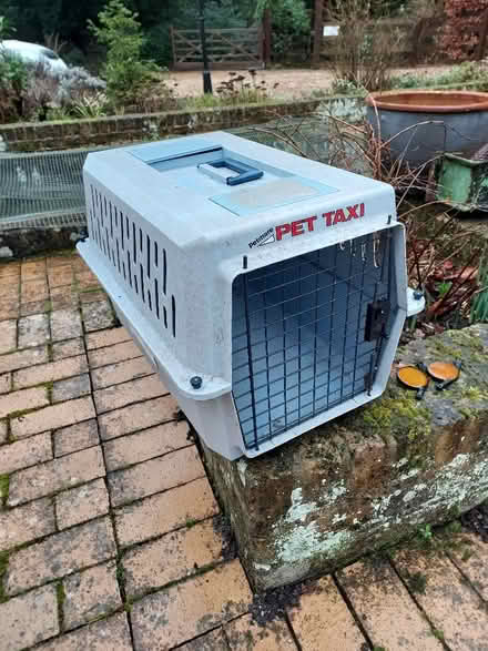 Photo of free Pet Taxi (Burnham SL1) #1