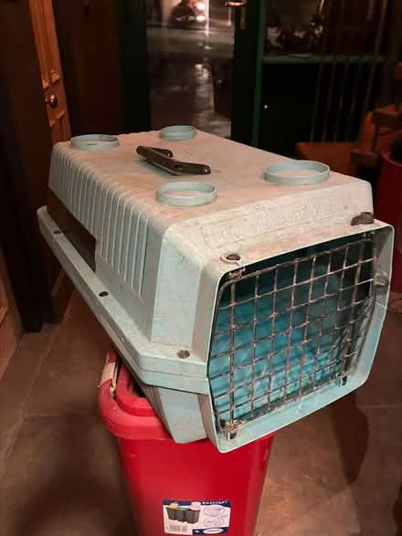 Photo of free Small animal carrying case (Greatwood Avenue BD23) #1