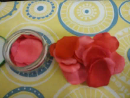 Photo of free Silk rose petals (Norwich NR7) #1